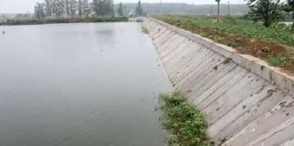 持续雨季会对水产养殖带来哪些危害?如何应对? | 妙招大全