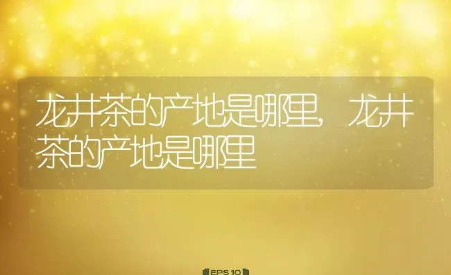 龙井茶的产地是哪里,龙井茶的产地是哪里 | 养殖科普