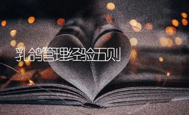 乳鸽管理经验五则 | 养殖技术大全