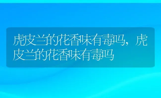 虎皮兰的花香味有毒吗,虎皮兰的花香味有毒吗 | 养殖学堂