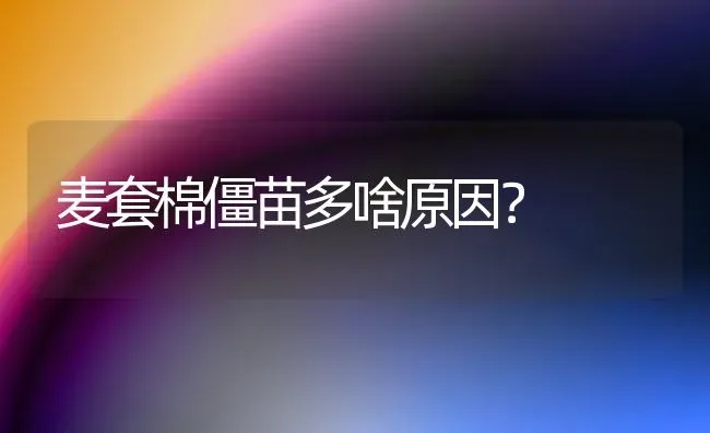 麦套棉僵苗多啥原因? | 养殖技术大全