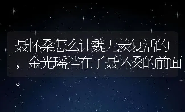 聂怀桑怎么让魏无羡复活的,金光瑶挡在了聂怀桑的前面。 | 养殖学堂