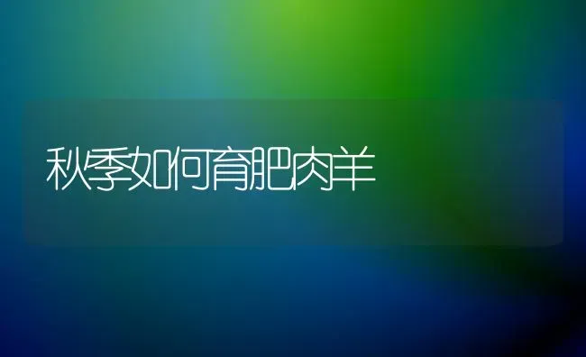 自制保健皮蛋 | 养殖技术大全