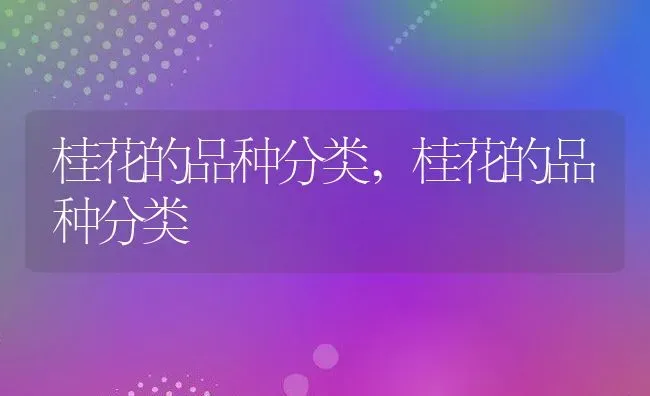 桂花的品种分类,桂花的品种分类 | 养殖科普