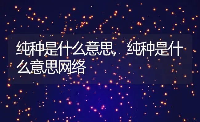 纯种是什么意思,纯种是什么意思网络 | 养殖资料