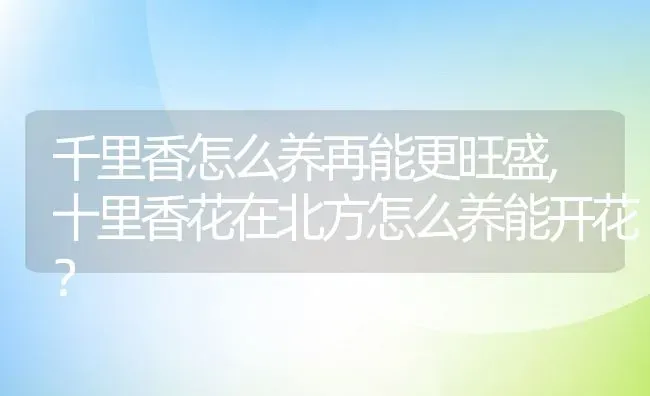 千里香怎么养再能更旺盛,十里香花在北方怎么养能开花？ | 养殖科普