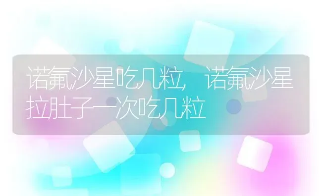 诺氟沙星吃几粒,诺氟沙星拉肚子一次吃几粒 | 养殖科普