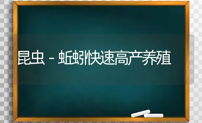 昆虫－蚯蚓快速高产养殖 | 养殖知识