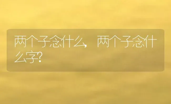 两个子念什么,两个子念什么字? | 养殖科普