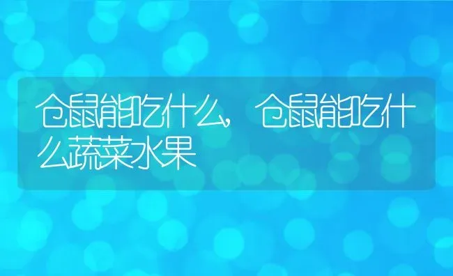 仓鼠能吃什么,仓鼠能吃什么蔬菜水果 | 养殖资料