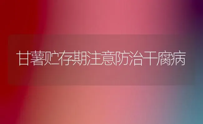 甘薯贮存期注意防治干腐病 | 养殖技术大全