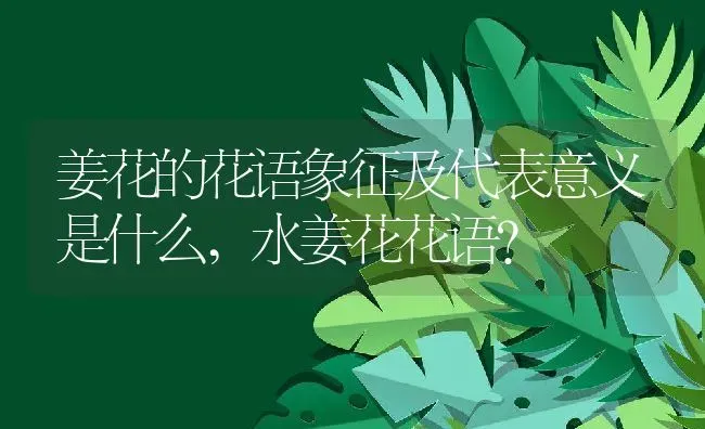 姜花的花语象征及代表意义是什么,水姜花花语？ | 养殖科普