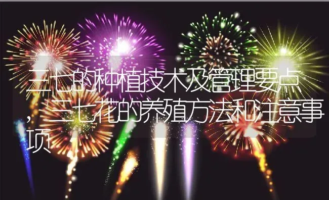 三七的种植技术及管理要点,三七花的养殖方法和注意事项 | 养殖学堂