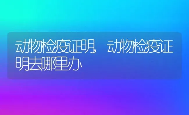 动物检疫证明,动物检疫证明去哪里办 | 养殖资料