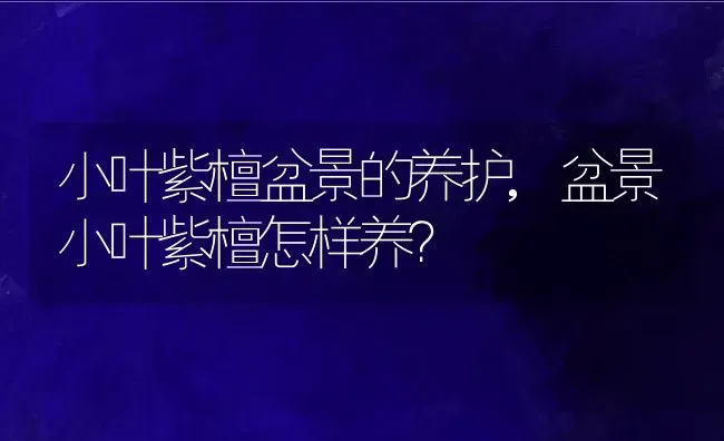 小叶紫檀盆景的养护,盆景小叶紫檀怎样养？ | 养殖科普