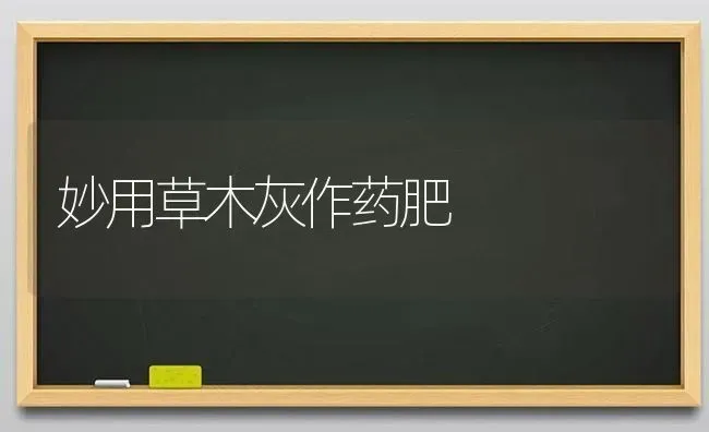 妙用草木灰作药肥 | 养殖技术大全