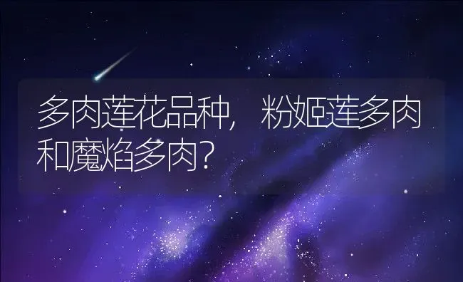 维生素缺乏症,维生素缺乏症一览表 | 养殖科普
