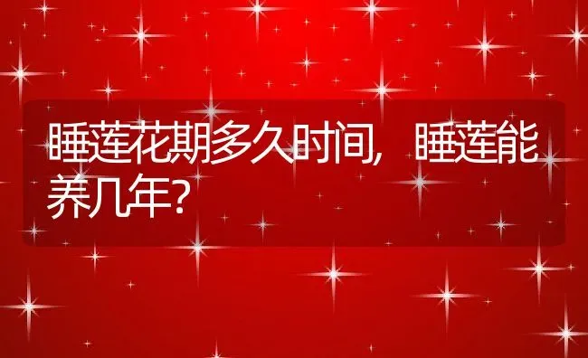 睡莲花期多久时间,睡莲能养几年？ | 养殖科普