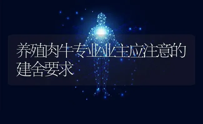 养殖肉牛专业业主应注意的建舍要求 | 养殖知识