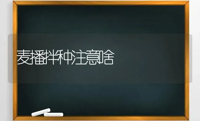 麦播拌种注意啥 | 养殖知识