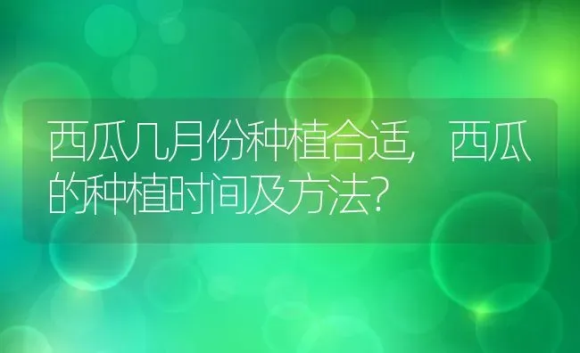 西瓜几月份种植合适,西瓜的种植时间及方法？ | 养殖科普