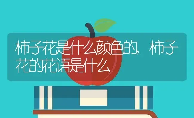 柿子花是什么颜色的,柿子花的花语是什么 | 养殖学堂