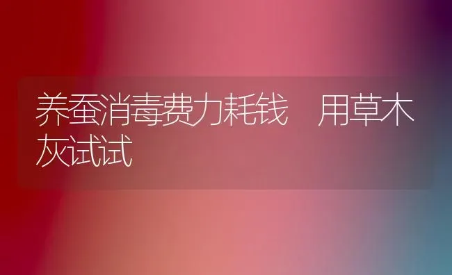 养蚕消毒费力耗钱 用草木灰试试 | 养殖知识