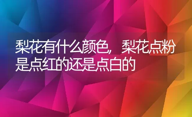 梨花有什么颜色,梨花点粉是点红的还是点白的 | 养殖学堂