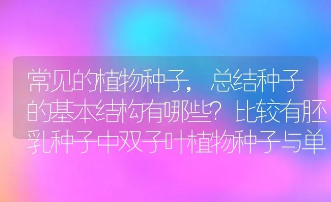 常见的植物种子,总结种子的基本结构有哪些？比较有胚乳种子中双子叶植物种子与单子叶禾本科植物的种子有何异同。谢谢回答？ | 养殖科普