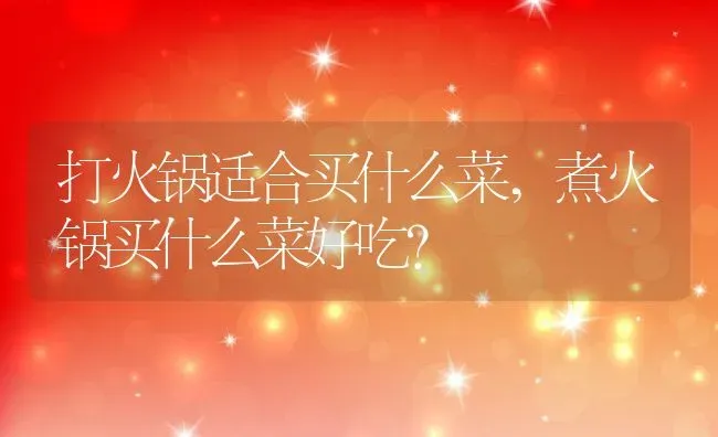 打火锅适合买什么菜,煮火锅买什么菜好吃？ | 养殖科普