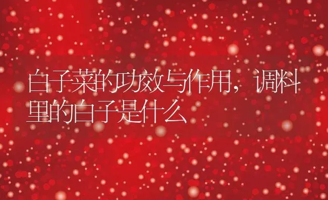 白子菜的功效与作用,调料里的白子是什么 | 养殖科普