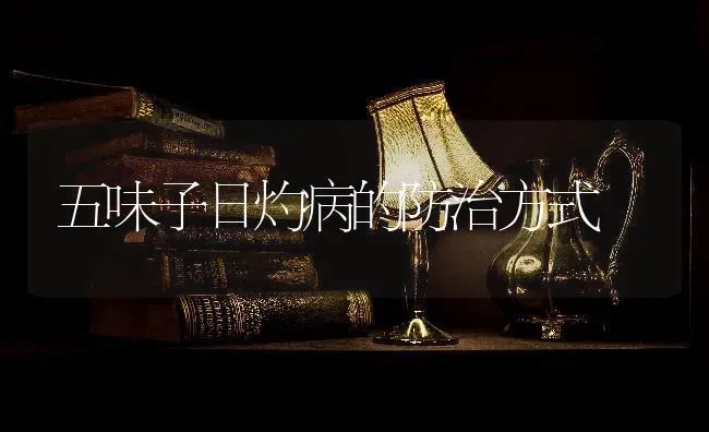 五味子日灼病的防治方式 | 养殖技术大全