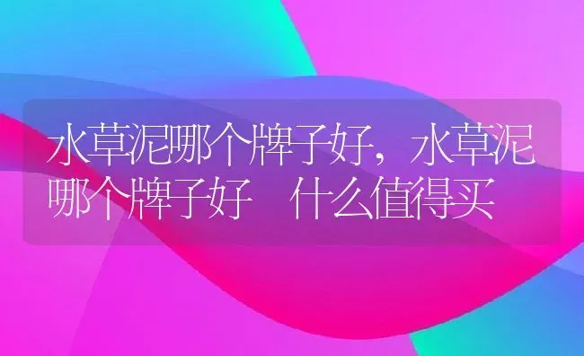 水草泥哪个牌子好,水草泥哪个牌子好 什么值得买 | 养殖科普