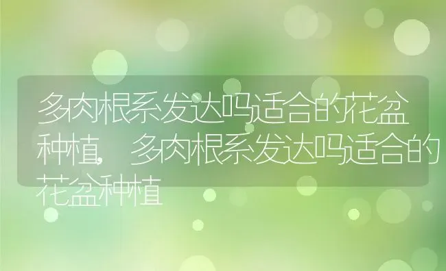 多肉根系发达吗适合的花盆种植,多肉根系发达吗适合的花盆种植 | 养殖科普