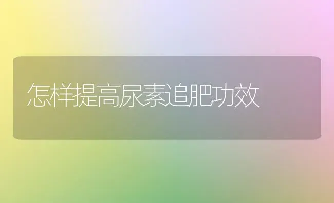 怎样提高尿素追肥功效 | 养殖技术大全