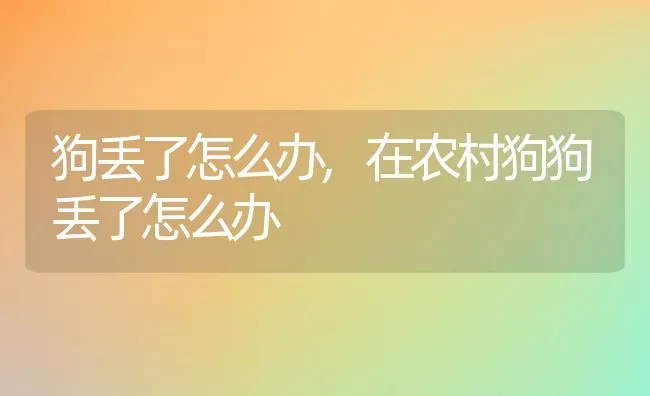 狗丢了怎么办,在农村狗狗丢了怎么办 | 养殖学堂