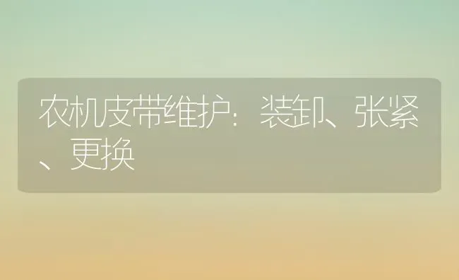 农机皮带维护：装卸、张紧、更换 | 养殖知识