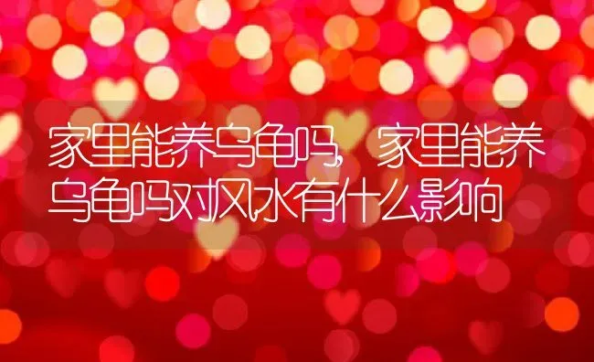 家里能养乌龟吗,家里能养乌龟吗对风水有什么影响 | 养殖资料