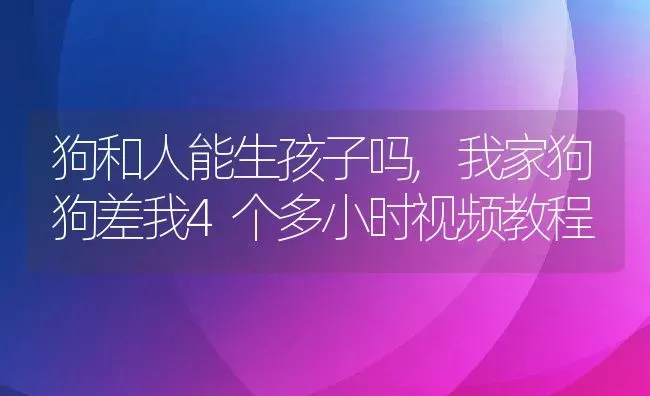 狗和人能生孩子吗,我家狗狗差我4个多小时视频教程 | 养殖科普