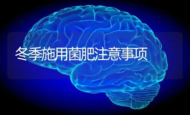 冬季施用菌肥注意事项 | 养殖技术大全