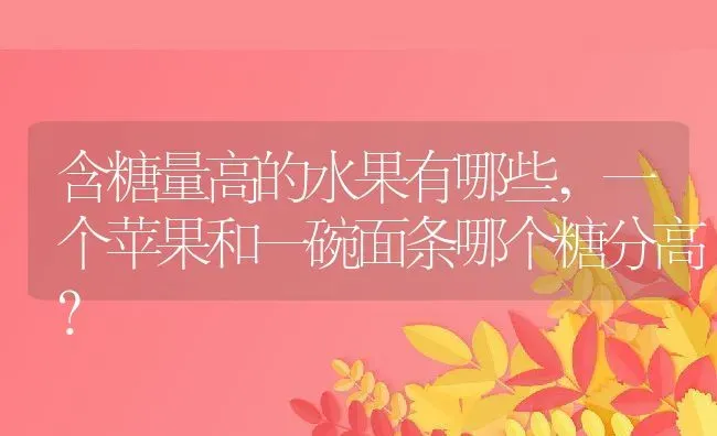 含糖量高的水果有哪些,一个苹果和一碗面条哪个糖分高？ | 养殖科普