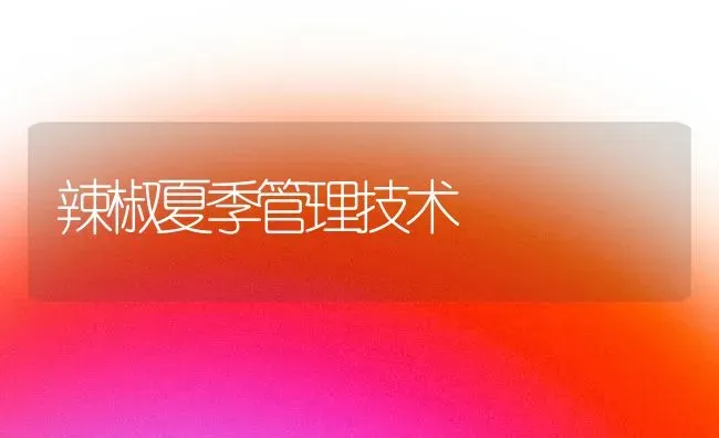 辣椒夏季管理技术 | 养殖知识