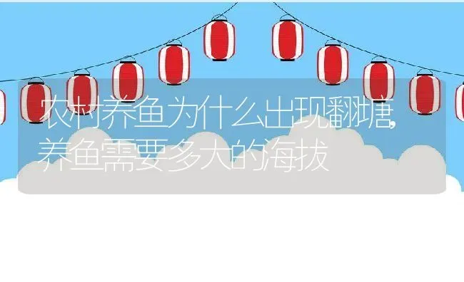 农村养鱼为什么出现翻塘,养鱼需要多大的海拔 | 养殖学堂
