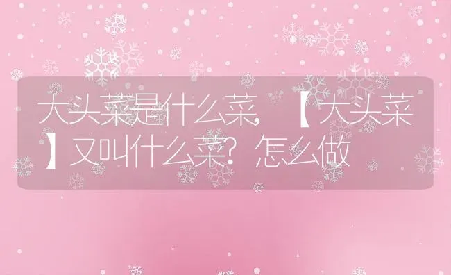 大头菜是什么菜,【大头菜】又叫什么菜?怎么做 | 养殖学堂