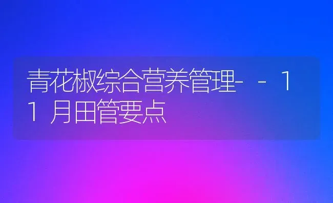 青花椒综合营养管理--11月田管要点 | 养殖技术大全