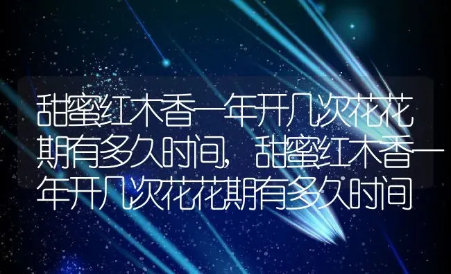 灯笼花的花语和象征代表意义,灯花寓意？ | 养殖科普