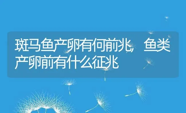 斑马鱼产卵有何前兆,鱼类产卵前有什么征兆 | 养殖学堂