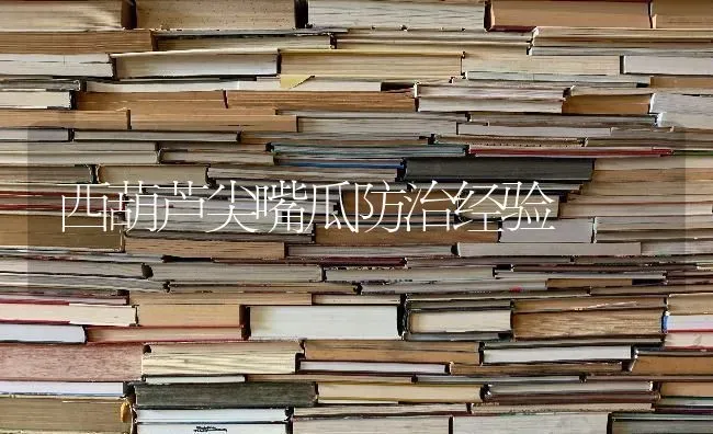 西葫芦尖嘴瓜防治经验 | 养殖技术大全