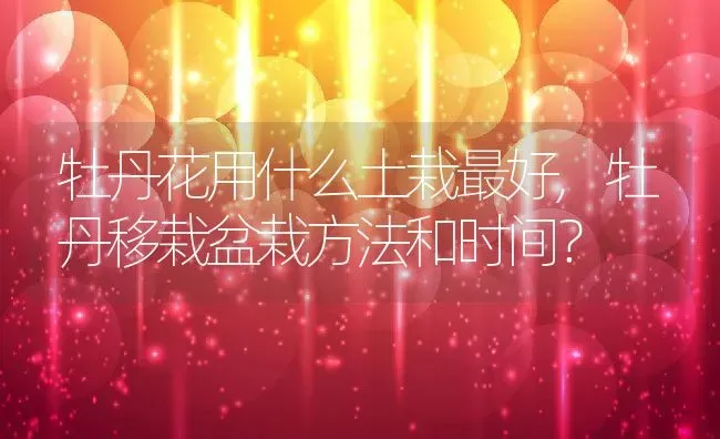 牡丹花用什么土栽最好,牡丹移栽盆栽方法和时间？ | 养殖学堂