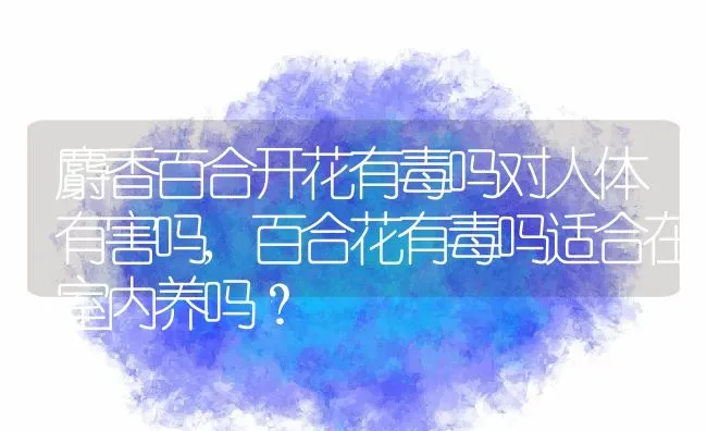 麝香百合开花有毒吗对人体有害吗,百合花有毒吗适合在室内养吗？ | 养殖科普